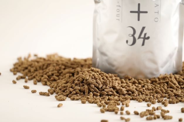 通常購入】鹿＋34（シカトサーティーフォー）600g/袋 – 鹿十34